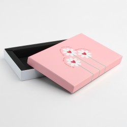 Ecrin Vénus rectangle