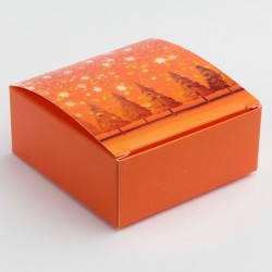 Charlotte carrée PM