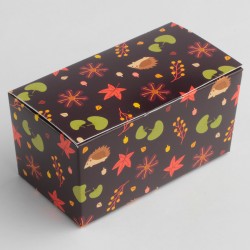 Ballotin